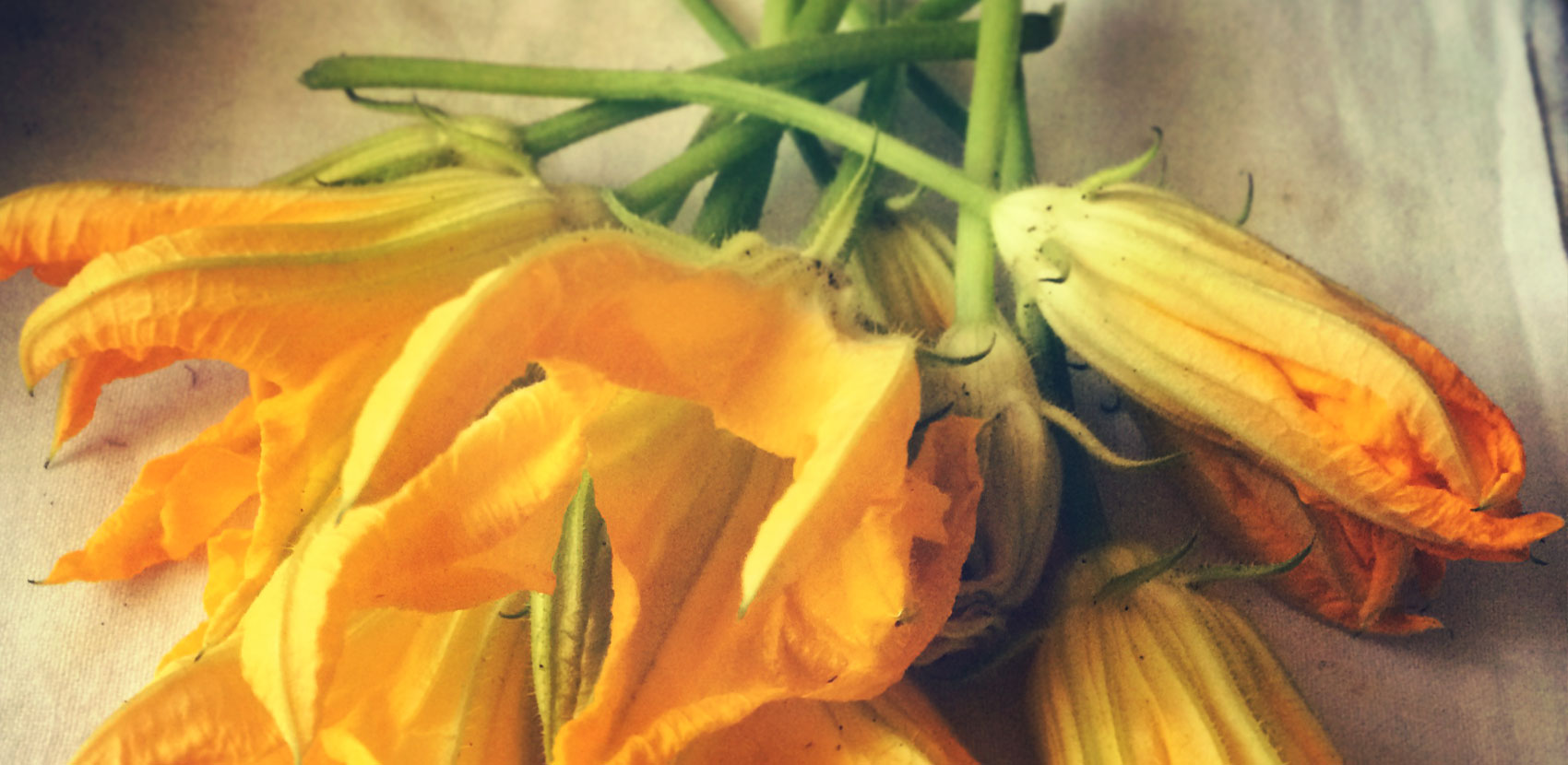 fiori-di-zucca_LO-SAPEVI-CHE_1700x830